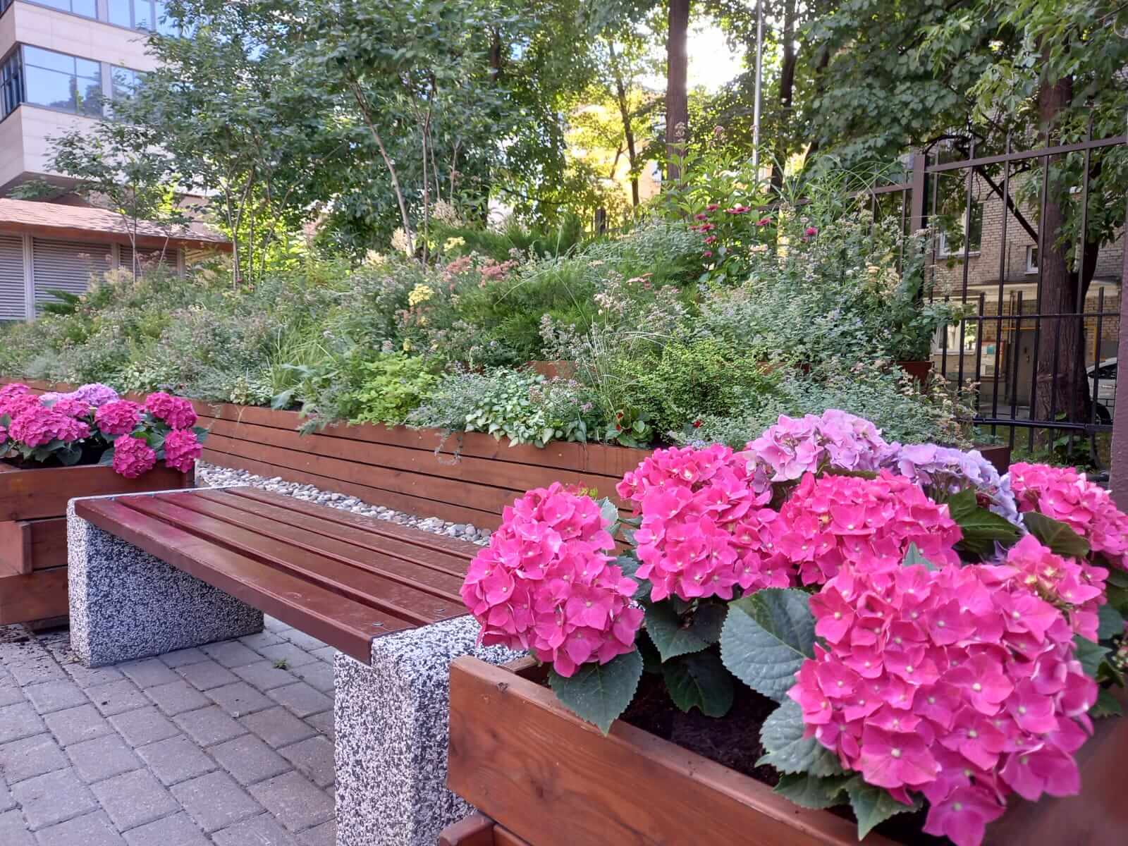 Цветы и скамейка