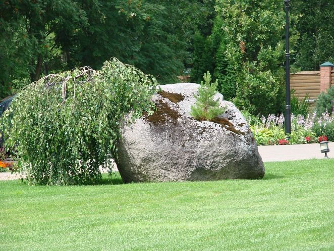 Камень на гозоне