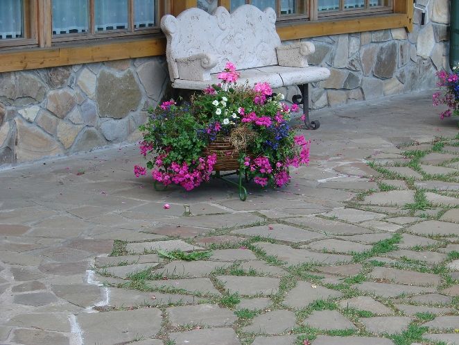 Скамейка и цветы