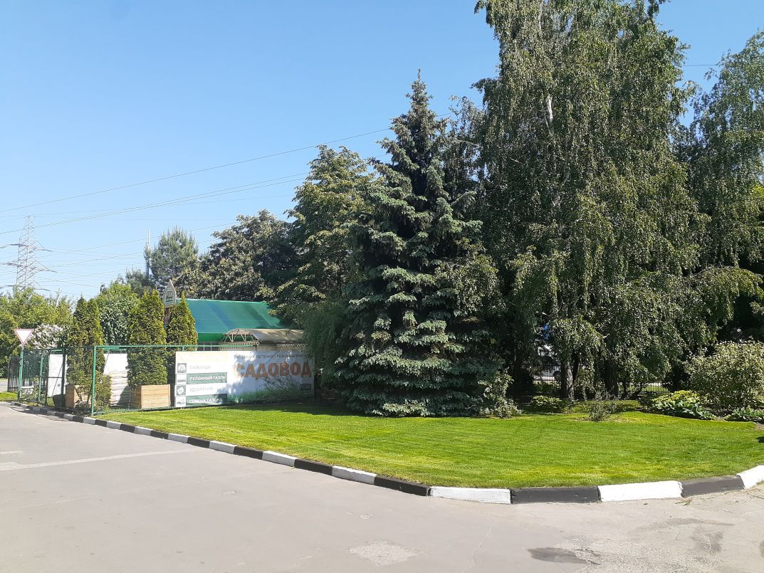 Русские газоны парк